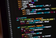 Aesthetic Experience and the Art of Beautiful Code